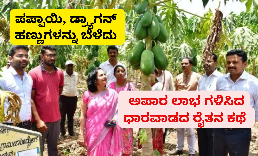 We will read success story of farmer who gained a lot of income by Dragon Fruit.