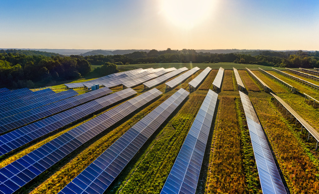 Solar Technology in Agriculture2025